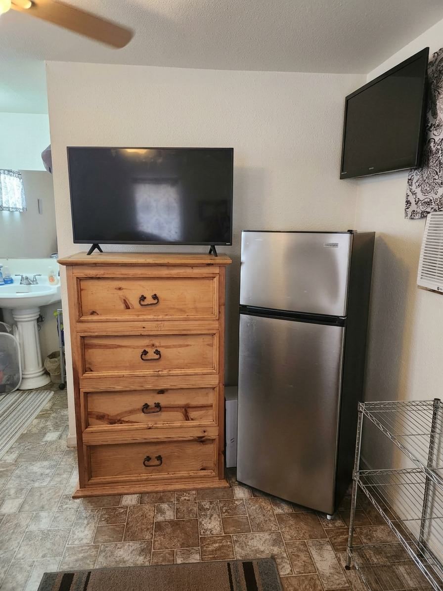 TV, fridge and the wall air conditioner